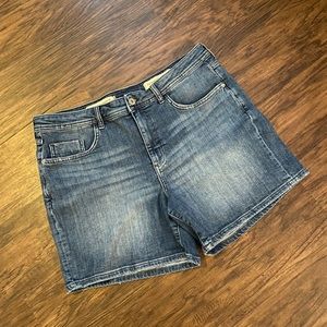 ANTHROPOLOGIE PILCRO DENIM SHORTS SIZE 32